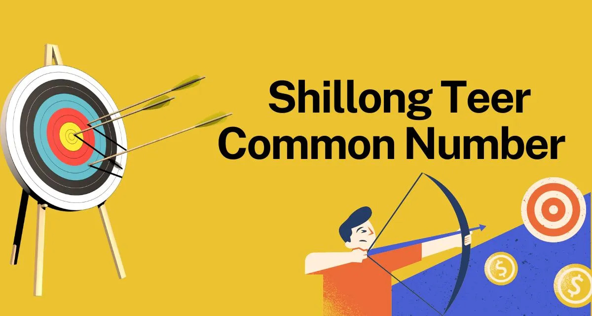Shillong Teer Common Numbers