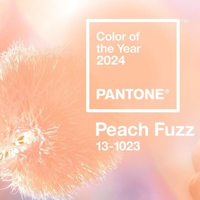 What Is The Color Of The Year 2024